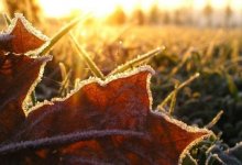 Какой будет погода в Казахстане 8 октября