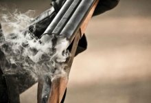 Казахстанец подстрелил из ружья чужих лошадей за то, что они зашли в его сад