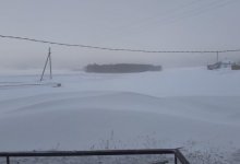 Бабушку в Павлодарской области акимат заставил извиниться за видео о выпавшем снеге