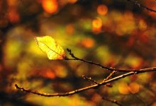 Какой будет погода в Казахстане на выходных