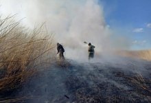 В Атырауской области шестые сутки тушат пожар на границе с Россией