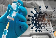 Ученые рассказали, у кого наиболее эффективные антитела