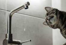 Центр Алматы отключат от холодной воды