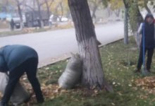 Учителей в Семее заставляли подметать улицы: об инциденте высказались в МОН