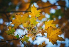 Снег, похолодание и усиление ветра: какой будет погода в Казахстане в ближайшие три дня