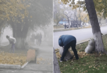 Ничего страшного: замакима Семея ответил Аймагамбетову по скандалу с учителями