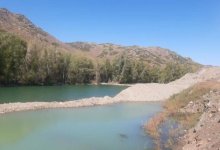 За загрязнение реки в ВКО наказали фирму, незаконно добывавшую золото