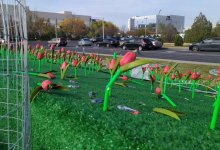 В Актау разваливаются пластиковые тюльпаны за 15 миллионов тенге