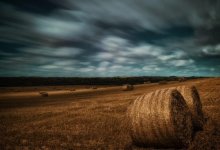 12-летний мальчик ушел из дома в Павлодарской области и застрял в стоге сена