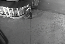 Пьяный житель Петропавловска усердно пытался взломать терминал, но его поймала полиция (ВИДЕО)