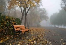 В восьми областях Казахстана объявили штормовое предупреждение