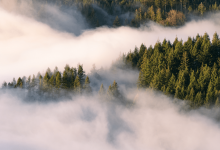 Метель, гололед и осадки: штормовое предупреждение в регионах Казахстана