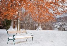 В Казахстане похолодает до 20 градусов мороза: прогноз на три дня