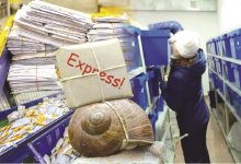 «Пропадают посылки, письма не доходят, квитанции задерживаются» - казахстанцы возмущены работой «Казпочты»