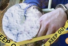 В Туркестанской области племянник до смерти забил своего дядю. Тело нашли в колодце