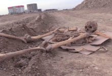 Человеческие останки обнаружили рабочие во время строительства дороги в Шымкенте