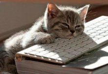 Чем заняться дома в холодную погоду