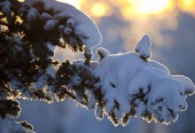 Первый день зимы: какой будет погода в Казахстане 1 декабря