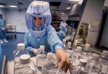 Названа неожиданная версия появления омикрон-штамма коронавируса