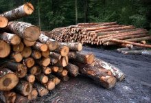 В ЗКО инспектор скончался из-за неосторожного обращения с оружием