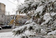 Алматинцы будут встречать Новый год без снега - синоптики