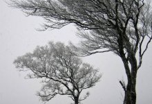 Ветер сорвал крышу с пятиэтажки в Уральске