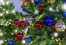 Елки за 23 млн тенге: в акимате Семея объяснили покупку