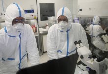 Число заразившихся коронавирусом в мире растет, а смертность снижается