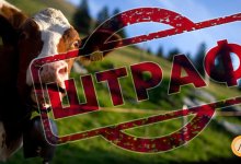 В ЗКО полицейские начали задерживать домашних животных