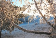 Штормовое предупреждение объявили в 11 областях Казахстана