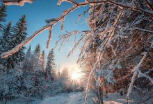 По всему Казахстану похолодает: прогноз погоды на три дня