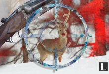 В ВКО поймали браконьера, отстреливавшего редких животных