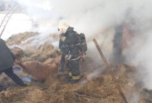 Горящий скот спасли огнеборцы в Караганде