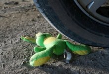 Восьмилетний мальчик попал под колеса автобуса в ЗКО