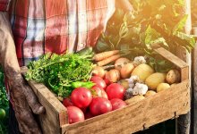 Нужна «Национальная комиссия по продовольственной безопасности» при Правительстве