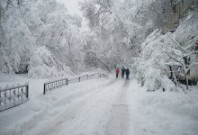 В некоторых районах Алматы выпало 12 см снега