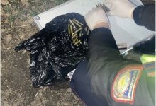 Очередные схроны боеприпасов обнаружены в Алматы