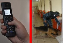 Житель Петропавловска «заминировал» многоэтажный жилой дом