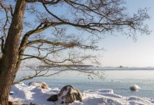 Весенние паводки: 125 населенных пунктов может затопить в Акмолинской области