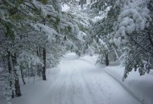 Снег и метели ожидаются в Казахстане 13 февраля