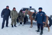 В Костанайской области пастух заблудился в степи