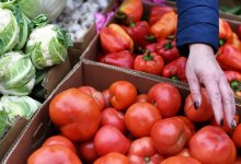 Павильоны с соцпродуктами в Усть-Каменогорске возьмут под видеонаблюдение