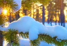 В Казахстан придут 30-градусные морозы