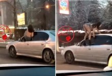 В Алматы наказали водителя авто, из окна которого вылезла полуголая девушка