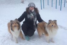 В трехметровый колодец провалились девушка и ее собака в Рудном