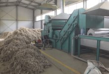 Выбрасывать овечью шерсть из-за отсутствия спроса вынуждены атырауские фермеры