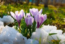 Какие сюрпризы преподнесет погода в марте?