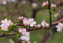 Грядет потепление: синоптики рассказали о погоде на ближайшие дни
