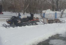 Браконьеры застрелили шесть кабанов в заповеднике Костанайской области