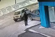 Аким стрелял в бродячих собак: полицейские не нашли никаких правонарушений